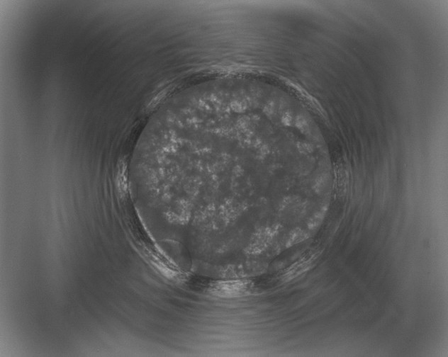 X0000082180479200702162331