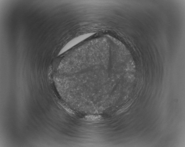 X0000082180480200702162331