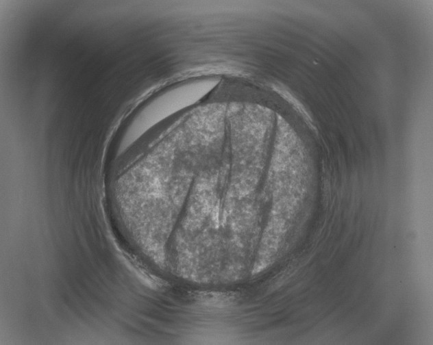 X0000082180486200702162330
