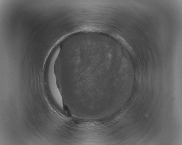 X0000082180488200702162330