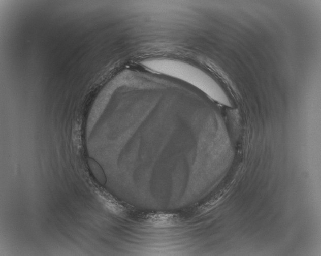 X0000082180497200702162330