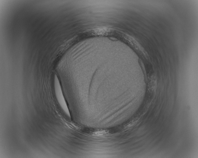 X0000082180505200702162330