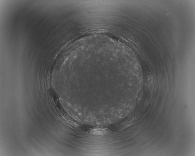X0000082180508200702162330