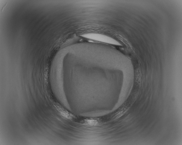 X0000082180509200702162330