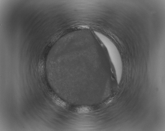 X0000082180513200702162330