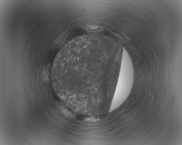 X0000082180515200702162330