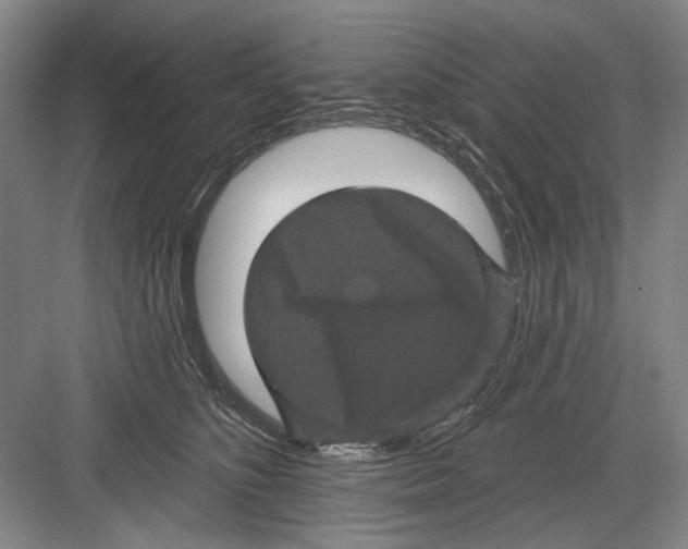 X0000082180516200702162330