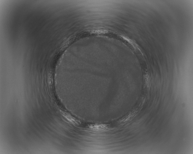 X0000082180517200702162330