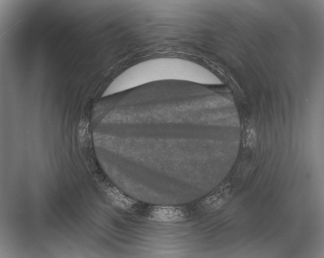 X0000082180521200702162330