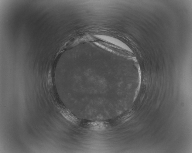 X0000082180524200702162330