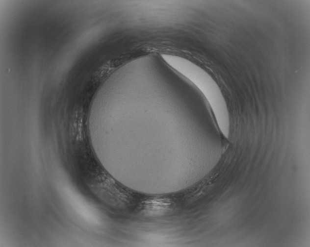 X0000082180525200702162330