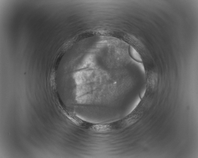 X0000082180526200702162330