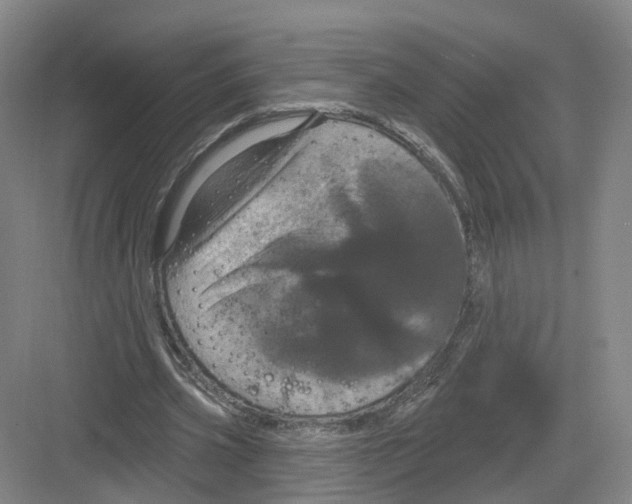 X0000082180533200702162329
