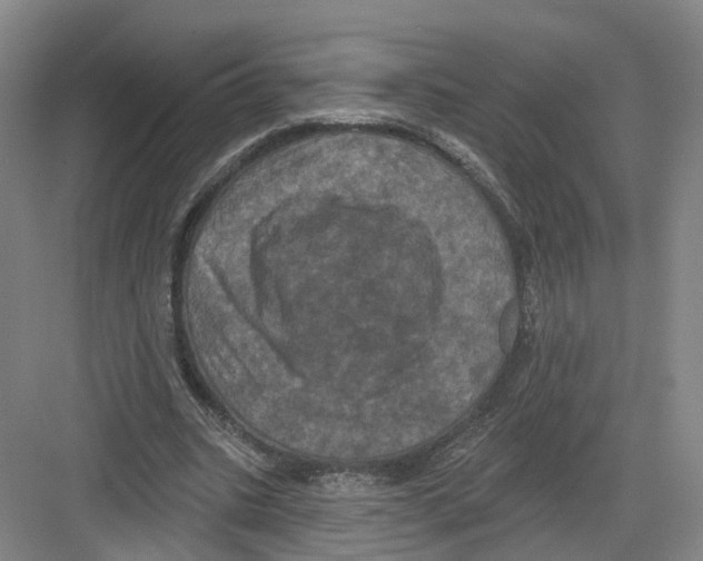 X0000082180535200702162329