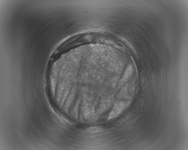 X0000082180536200702162329