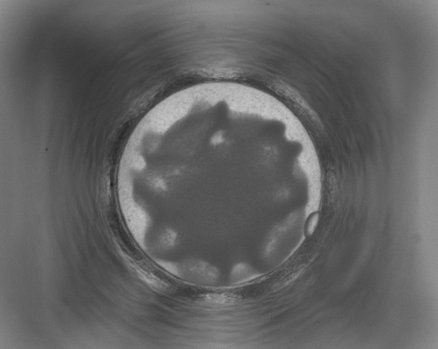 X0000082180541200702162329