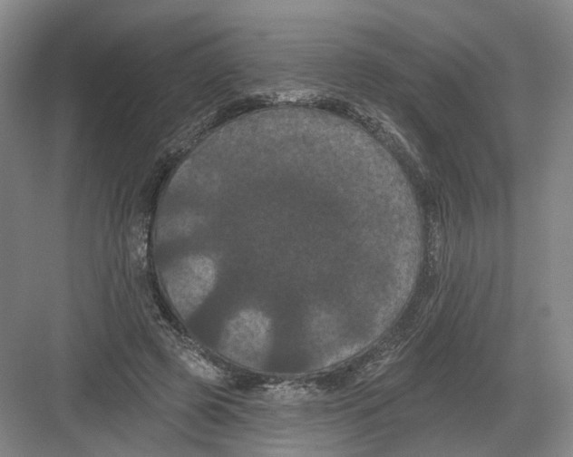 X0000082180545200702162329