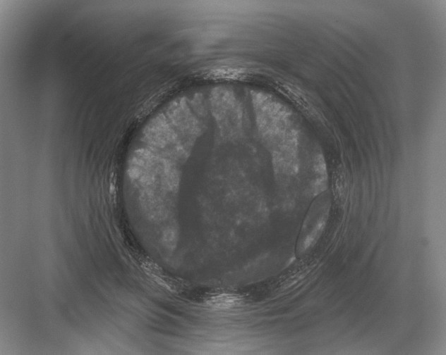 X0000082180551200702162329