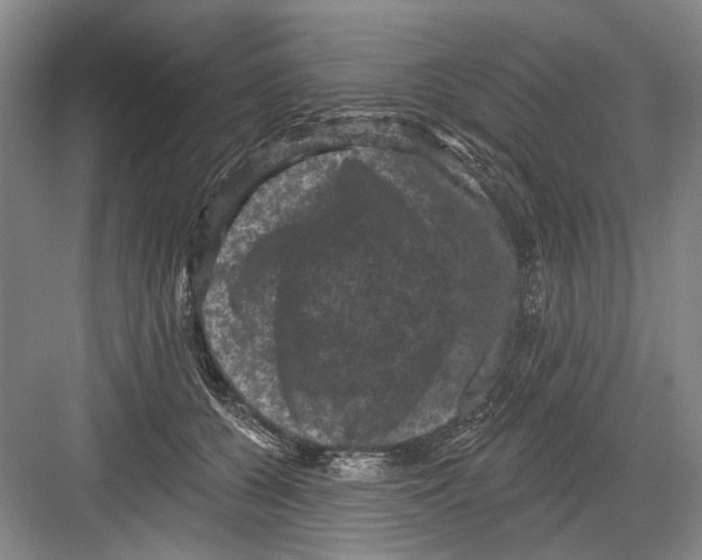 X0000082180560200702162329