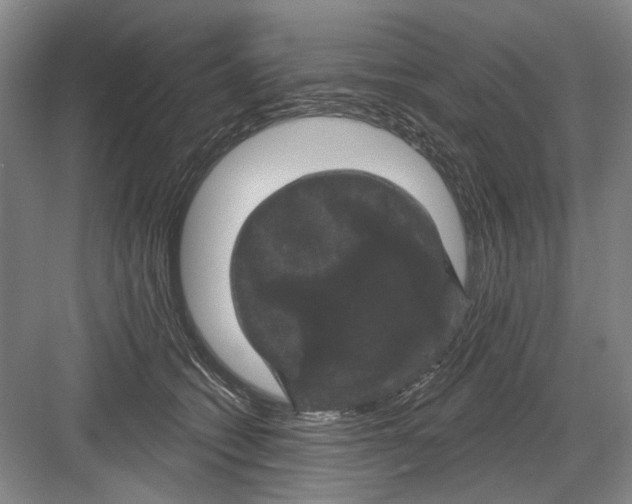X0000082180562200702162329