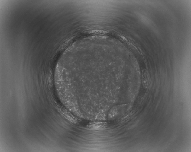 X0000082180563200702162329