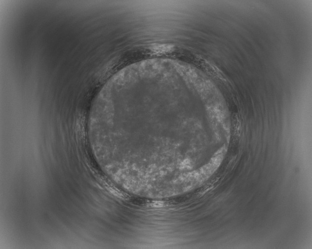 X0000082180565200702162329
