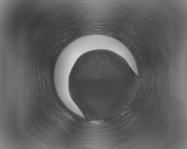 X0000082180566200702162329