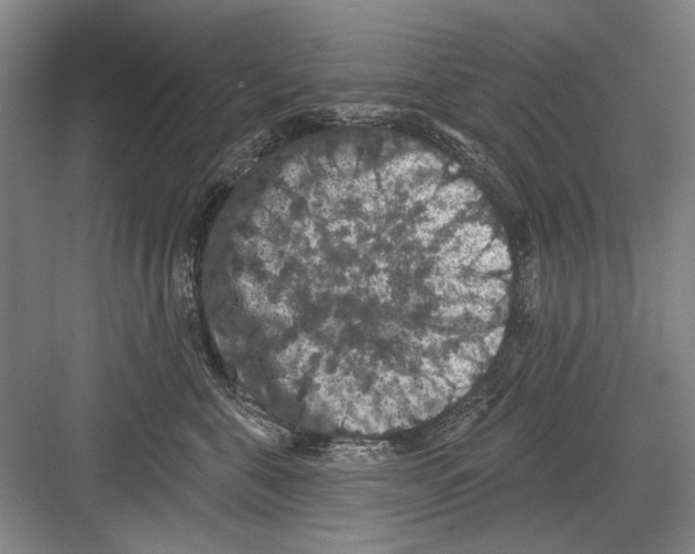 X0000082180571200702162330