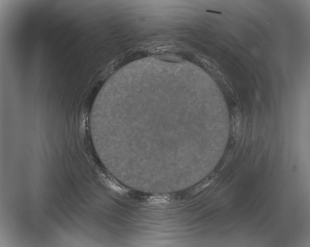 X0000082180574200702162330