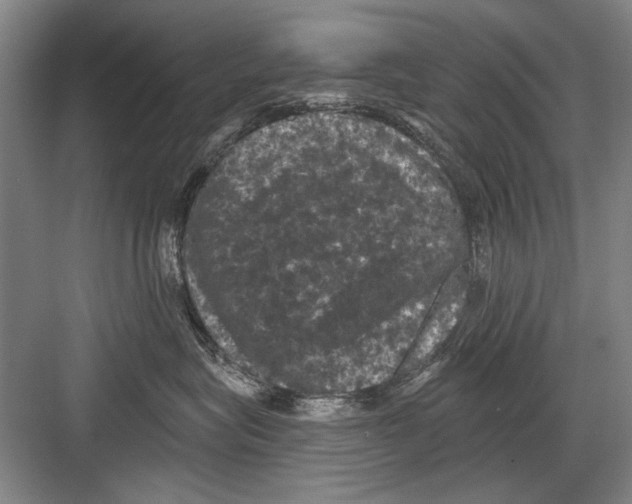 X0000082180575200702162330