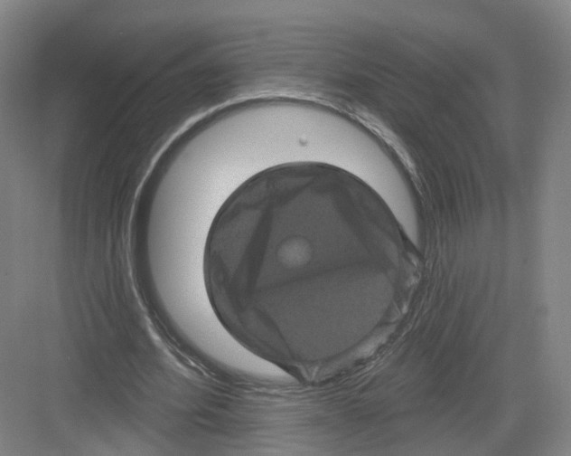 X0000082180580200702162329