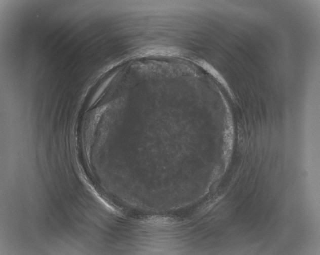 X0000082180581200702162329
