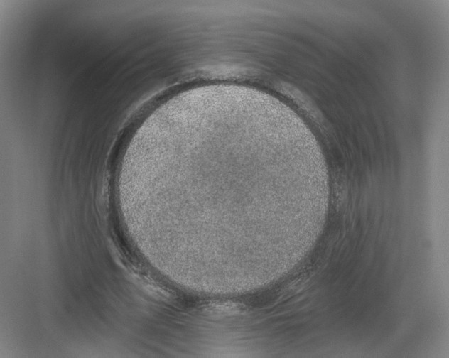 X0000082180583200702162329