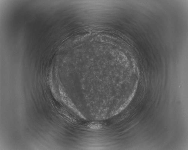 X0000082180604200702162328