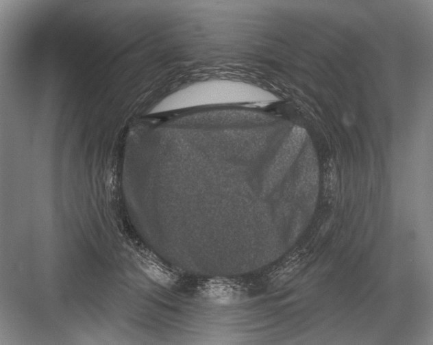 X0000082180608200702162328