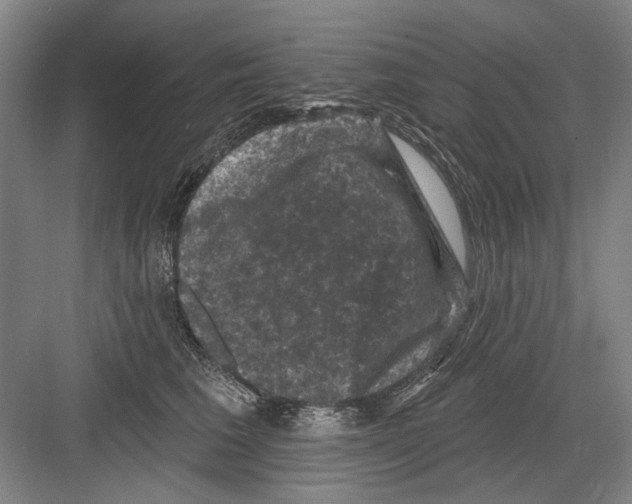 X0000082180613200702162328