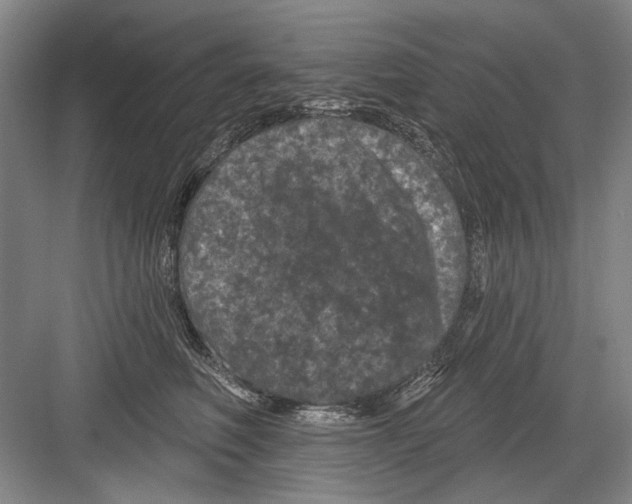 X0000082180614200702162328