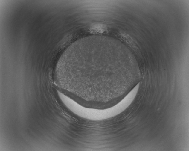 X0000082180616200702162328