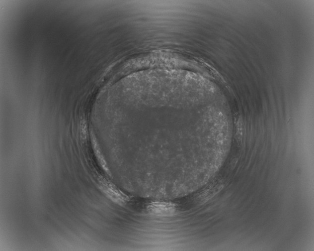 X0000082180617200702162328