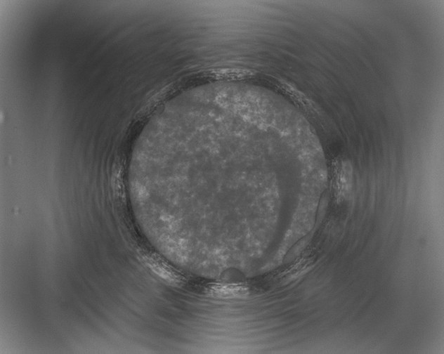 X0000082180619200702162328