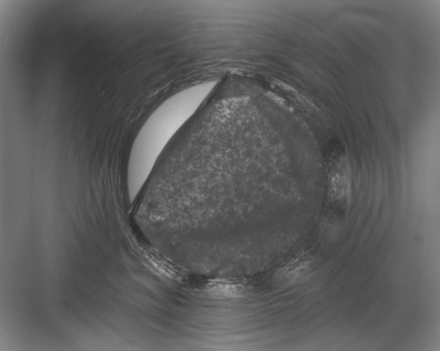 X0000082180620200702162328