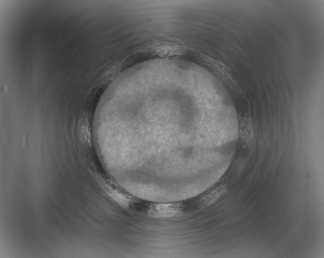 X0000082180622200702162328