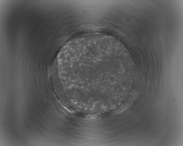 X0000082180624200702162328