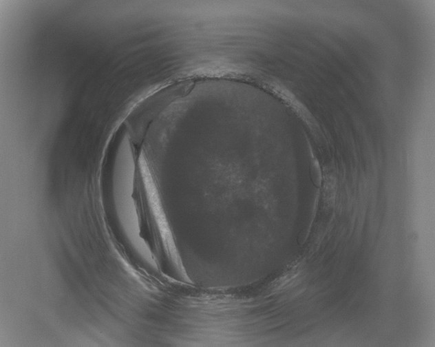 X0000082180626200702162327