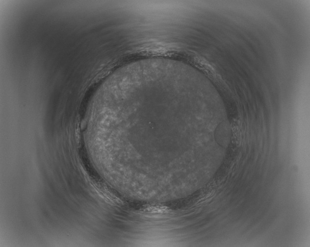 X0000082180642200702162328