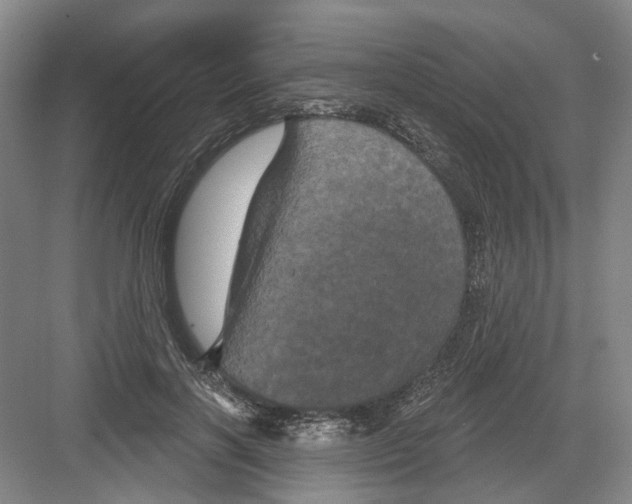 X0000082180646200702162328