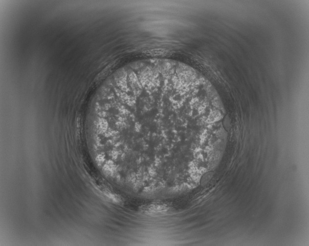 X0000082180647200702162328