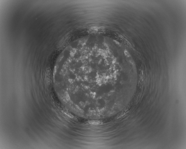 X0000082180659200702162328