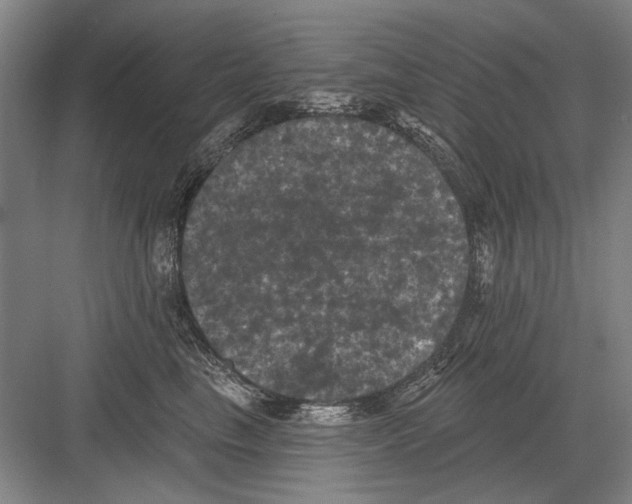 X0000082180665200702162328