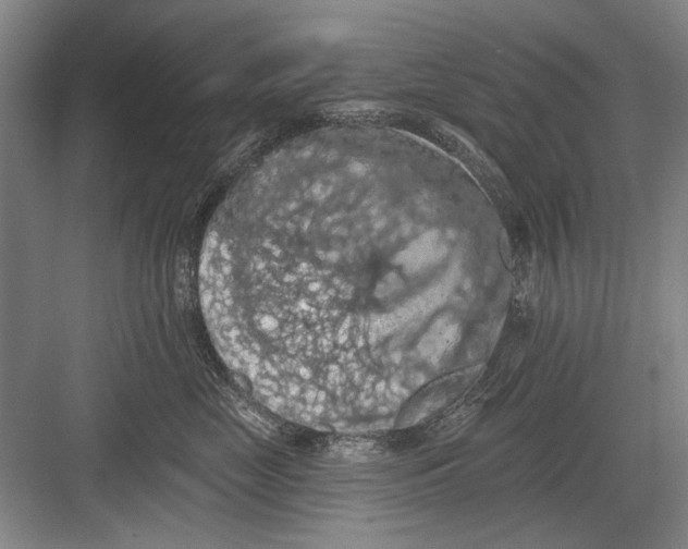 X0000082180669200702162328
